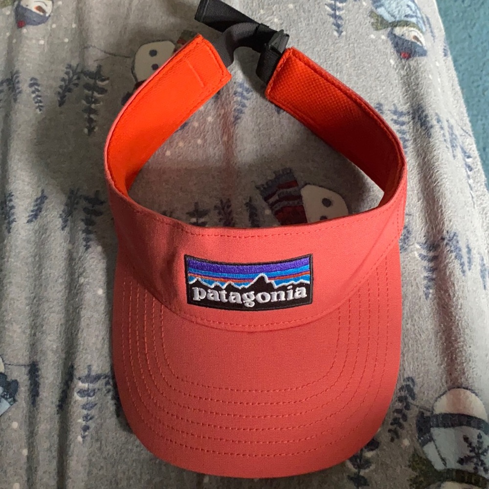 Patagonia vizor